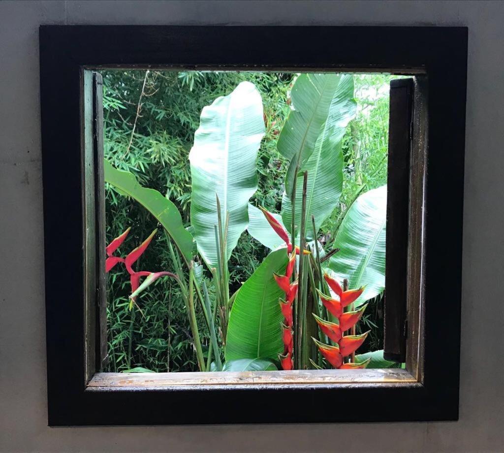 Pousada Rainforest House - Ilha Grande Zewnętrze zdjęcie