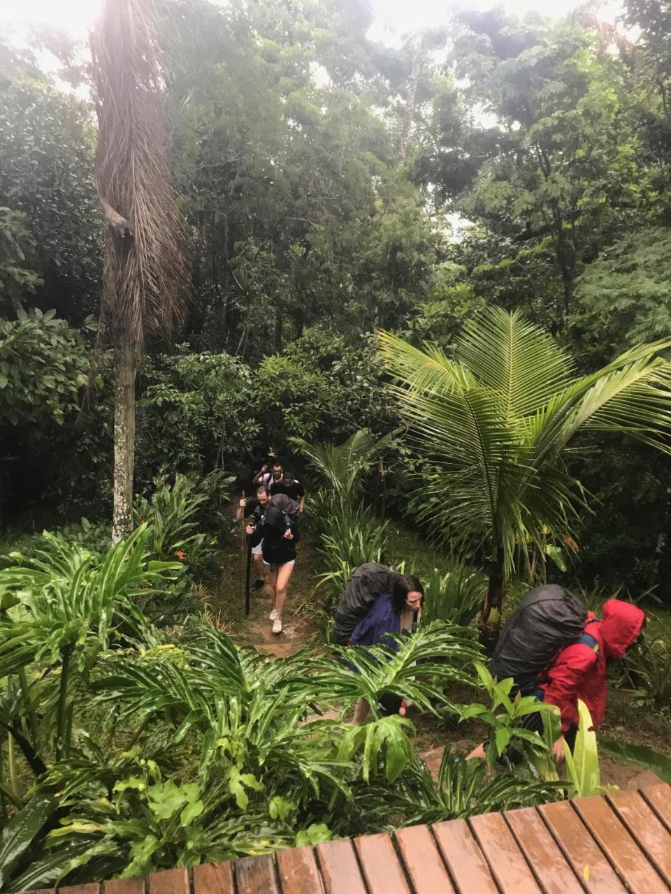 Pousada Rainforest House - Ilha Grande Zewnętrze zdjęcie
