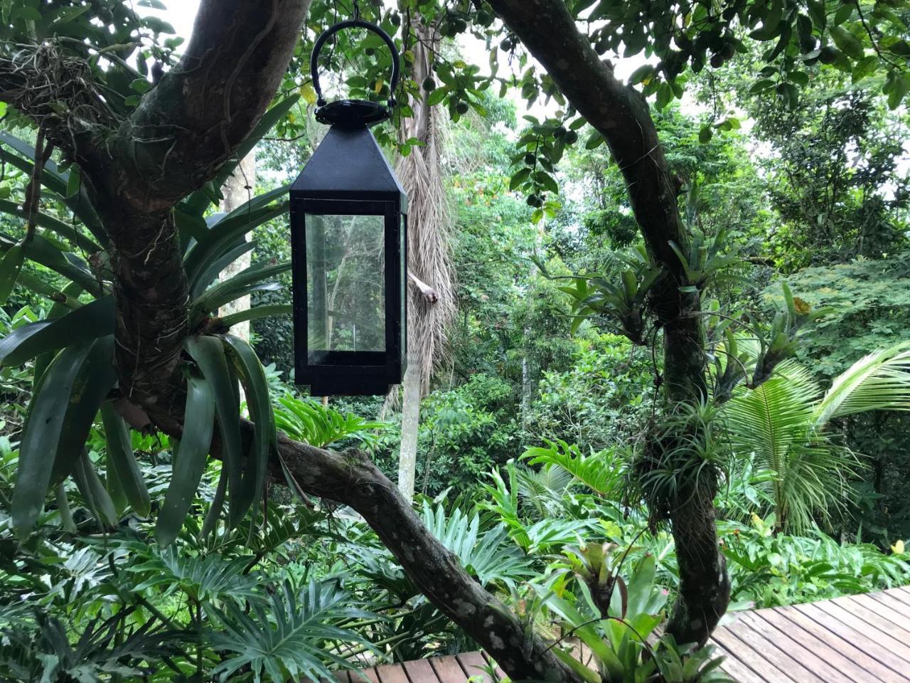 Pousada Rainforest House - Ilha Grande Zewnętrze zdjęcie