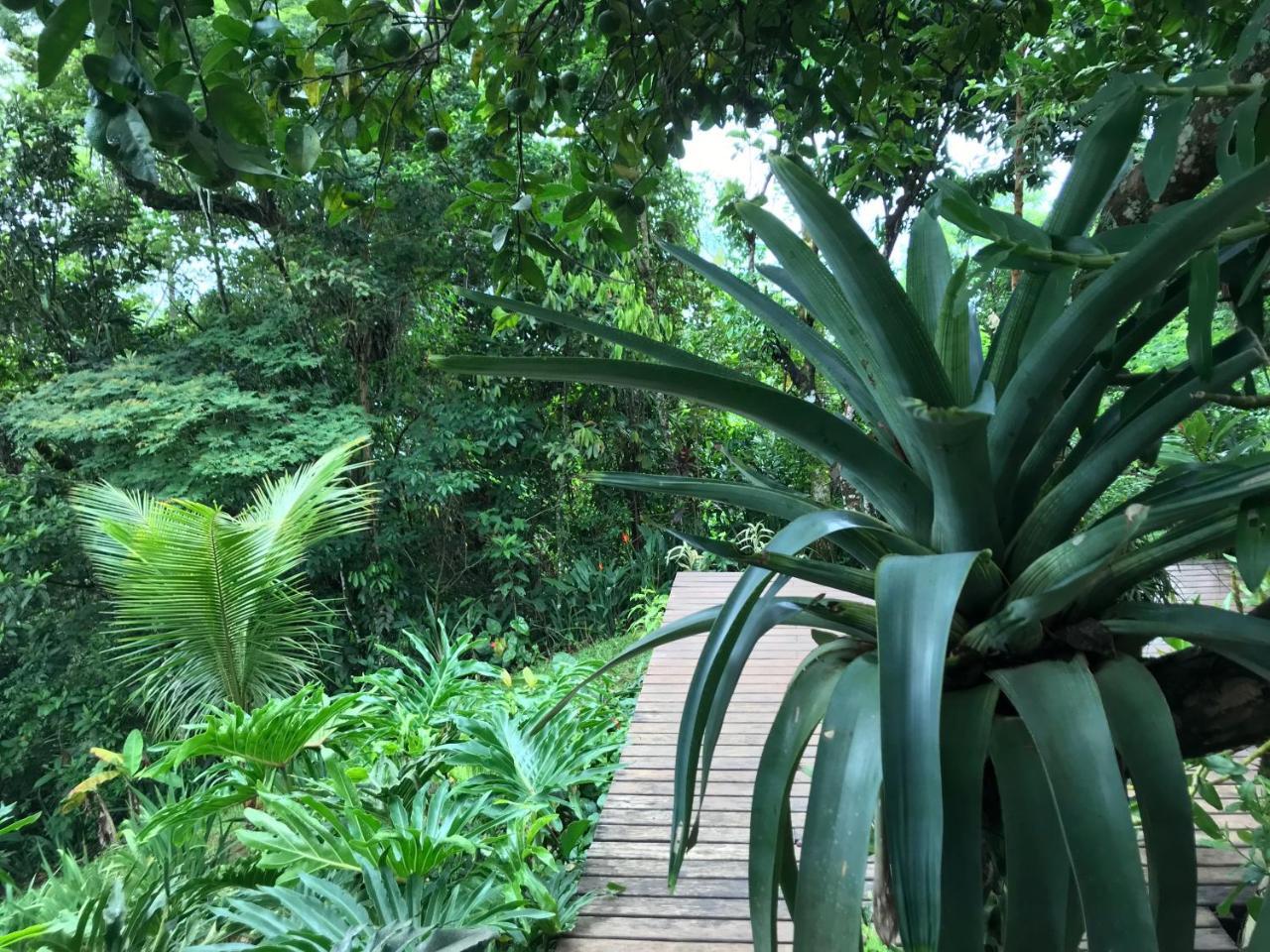 Pousada Rainforest House - Ilha Grande Zewnętrze zdjęcie
