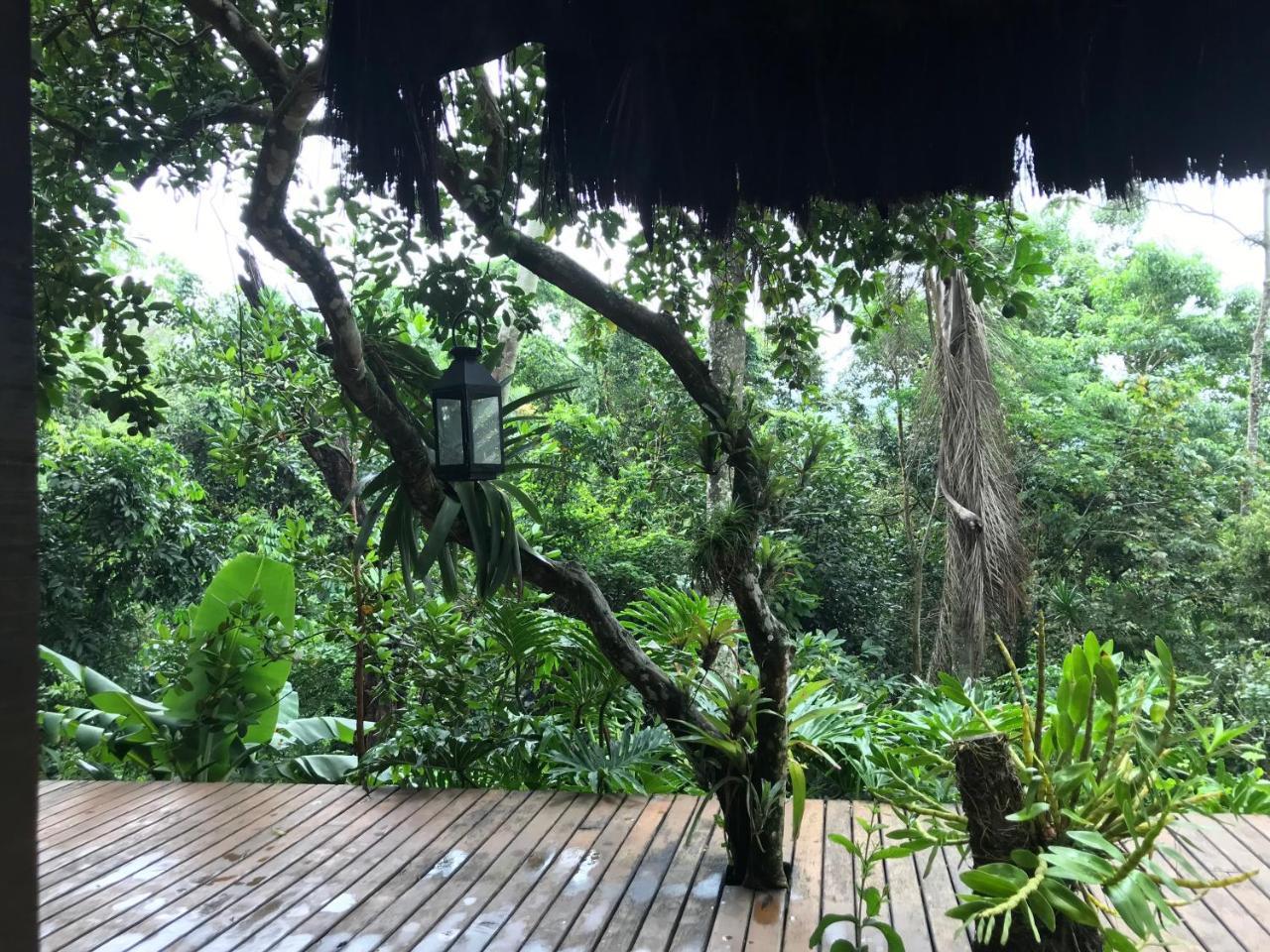 Pousada Rainforest House - Ilha Grande Zewnętrze zdjęcie