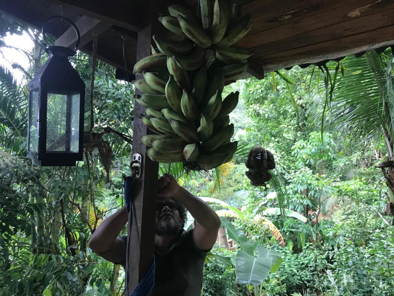 Pousada Rainforest House - Ilha Grande Zewnętrze zdjęcie